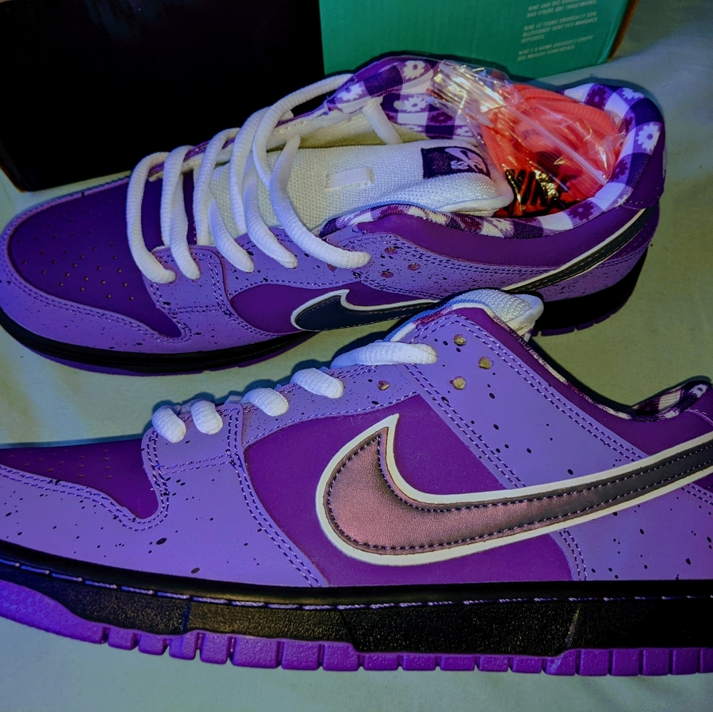 Nike Dunk Low SB Pro